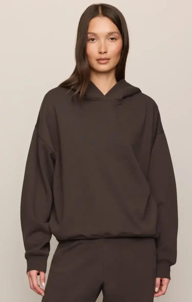 ZSupply First Quarter Hoodie Cocoa Bean