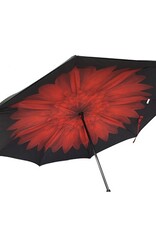 Parapluie fleur rouge