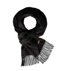 Fraas Foulard cashmink uni - Noir