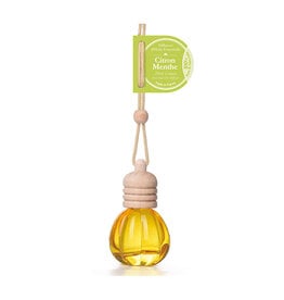 Diffuseur huile ess - Citron menthe