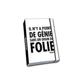 Calepin - Génie ... sans folie