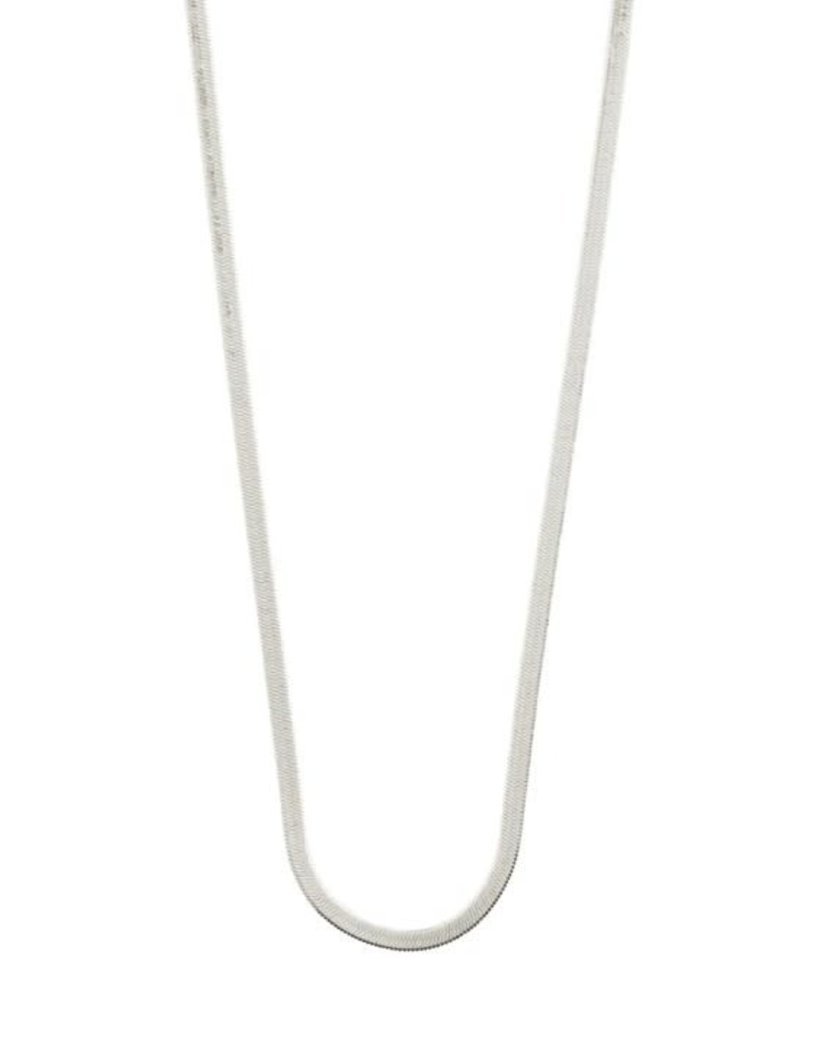 Pilgrim Collier  Joanna  - SS