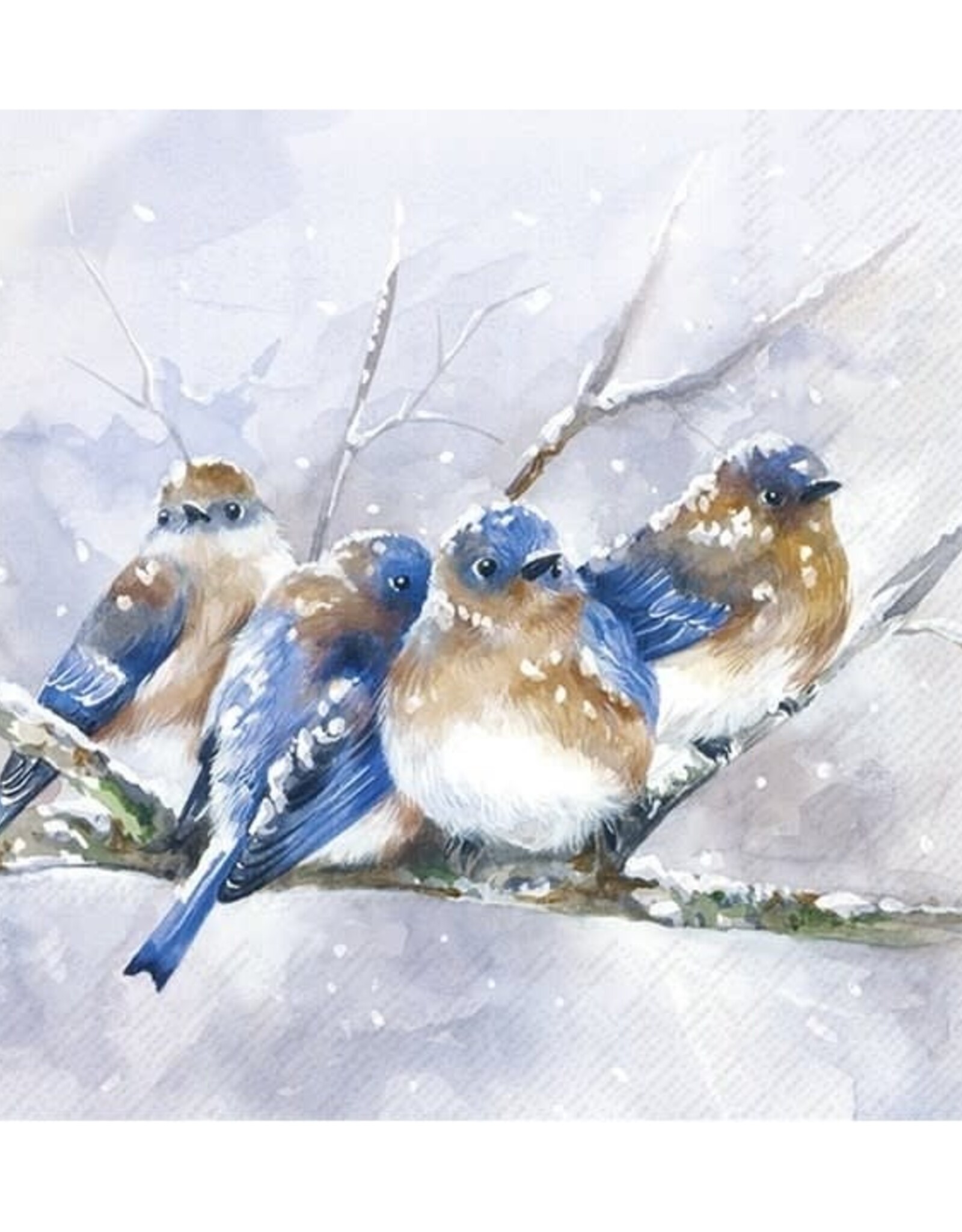 Serv. Table - Oiseaux bleus