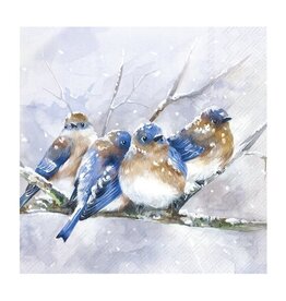 Serv. Table - Oiseaux bleus