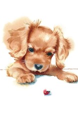 Serv. Table Chien+ cocci