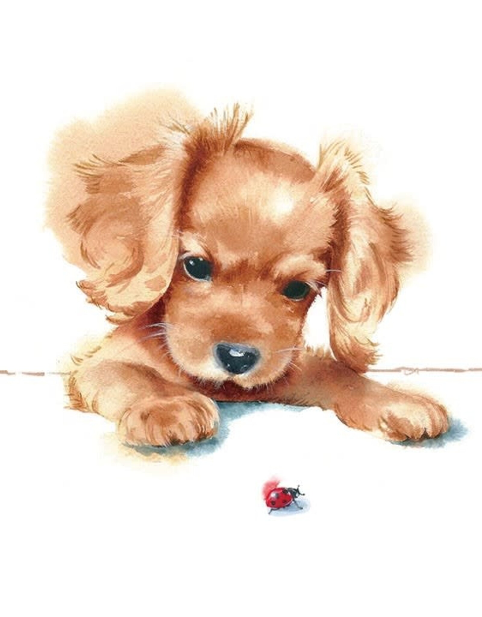 Serv. Table Chien+ cocci