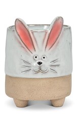 Pot - Lapin