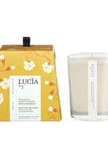 Lucia  par  Pure Living Bougie soja feuille de thé et miel sauvage 50 hr