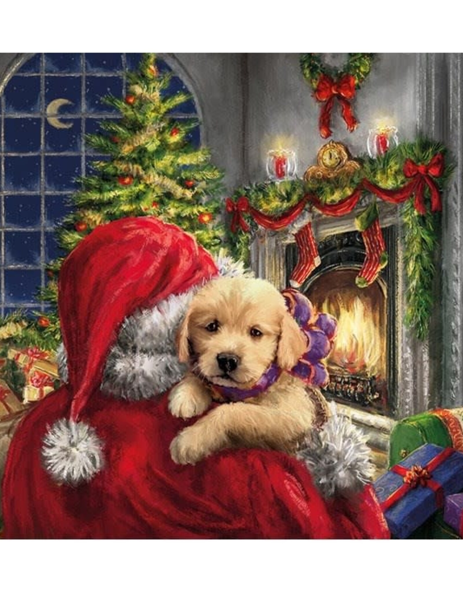Serv. Table Père Noel + Puppy