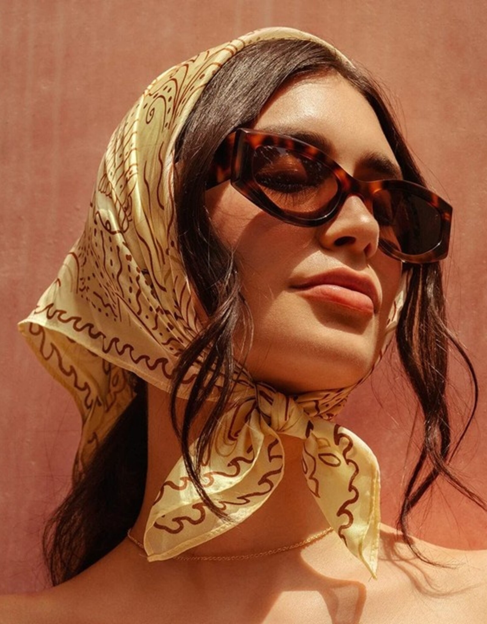 Lambert Raven Tortoise - Lunette de soleil