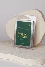 Feu & Co Cube de cire - Forêt de Conifères