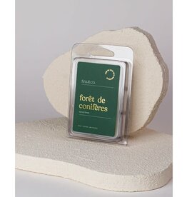 Feu & Co Cube de cire - Forêt de Conifères