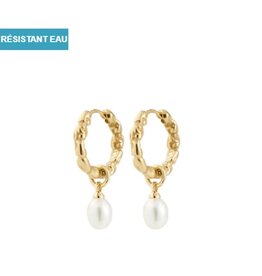 B.O. Shift + perle - Or