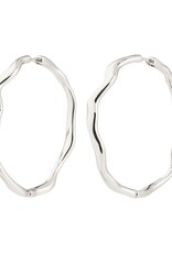 Grandes Anneaux Larkin - Arg