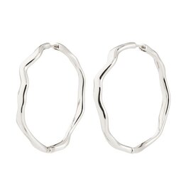 Grandes Anneaux Larkin - Arg