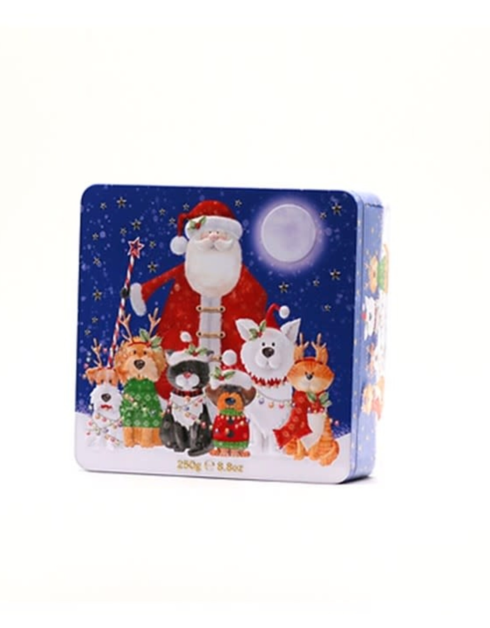 Boîte biscuits Père Noël + Amis