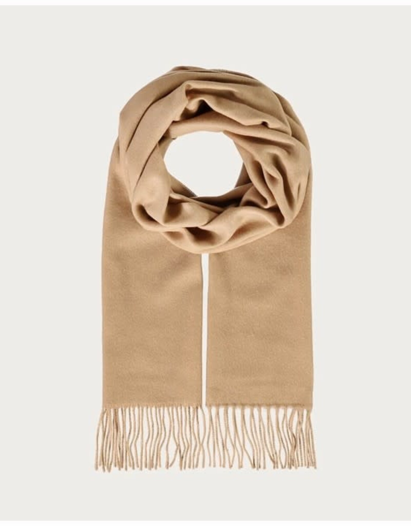 Fraas Foulard étroit cashmink uni - Camel