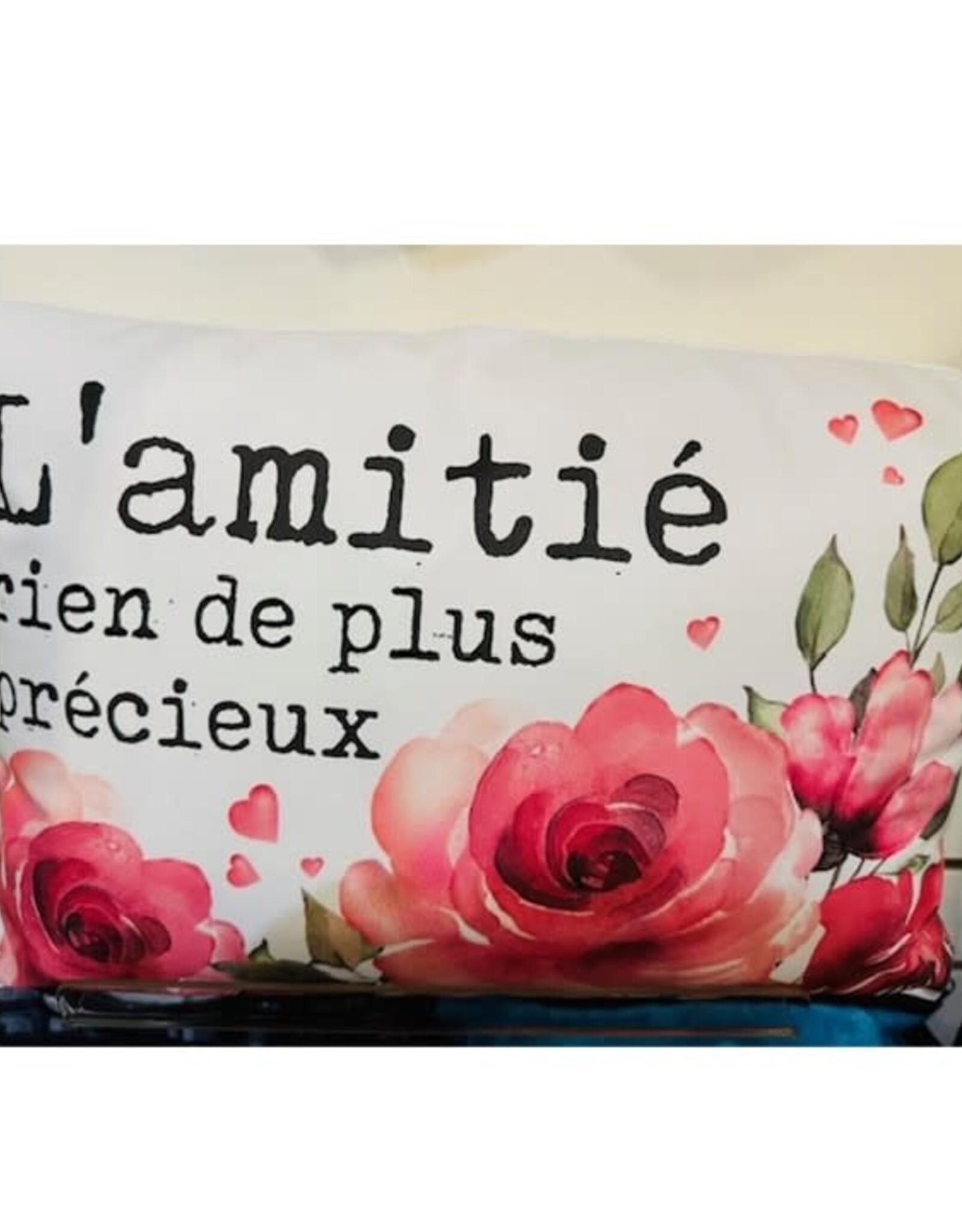 Fabrique Champêtre Coussin  - l'amitié c'est précieux