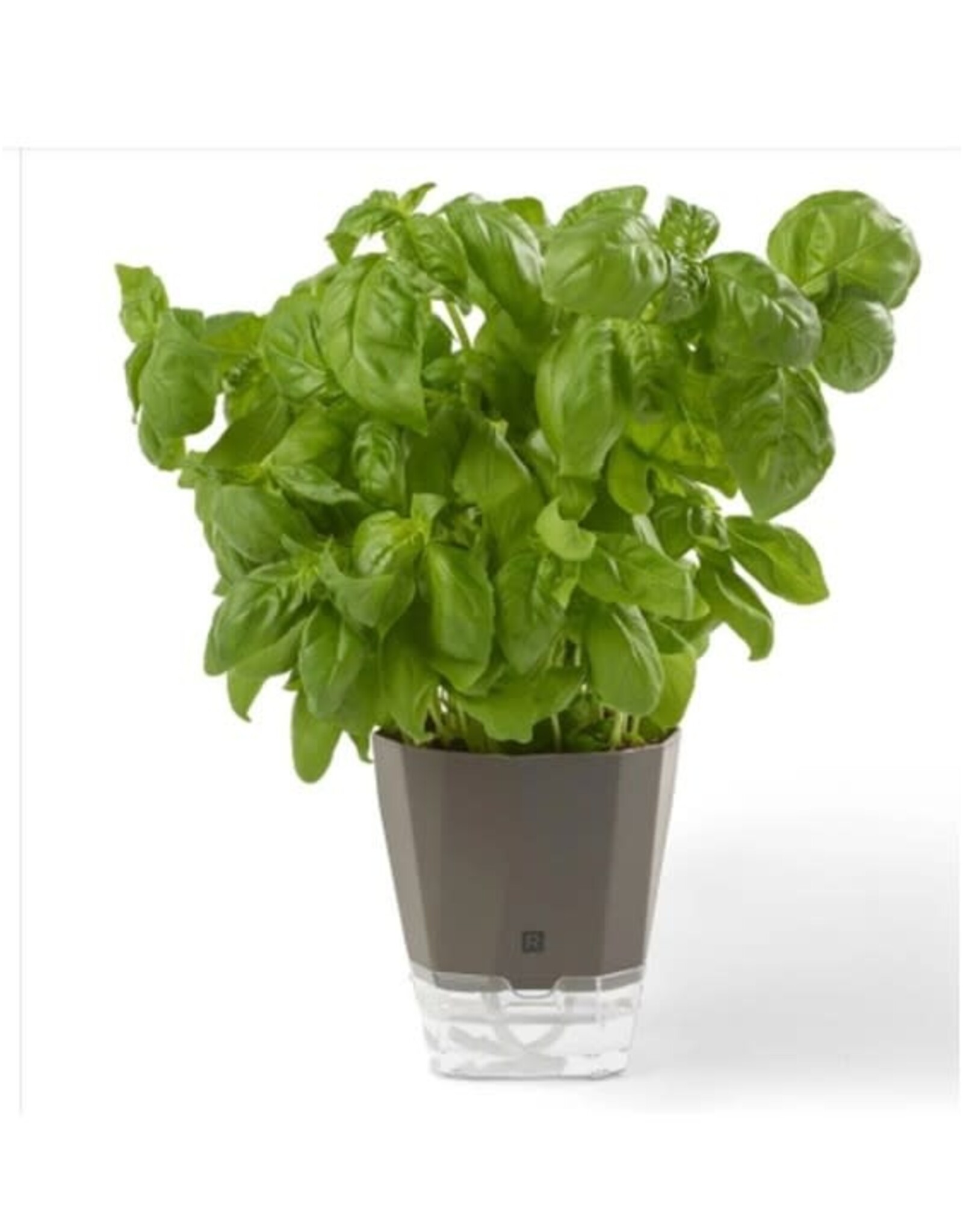 Jardinière fines herbes