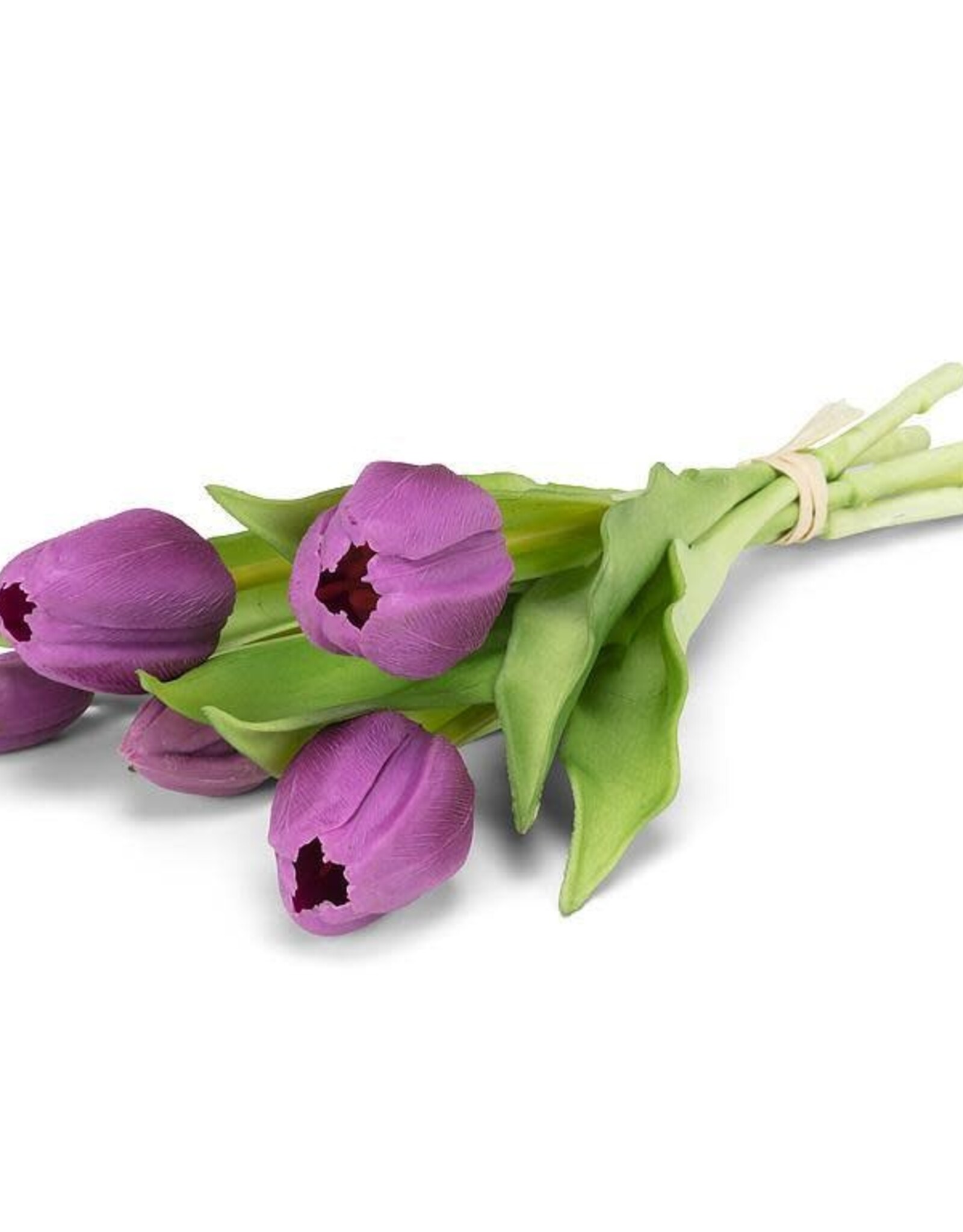 Tulipe - Mauve