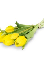 Tulipe - Jaune