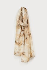 Caracol Foulard #6195 - Beige