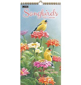 Petit Calendrier 2027 -  Songbirds