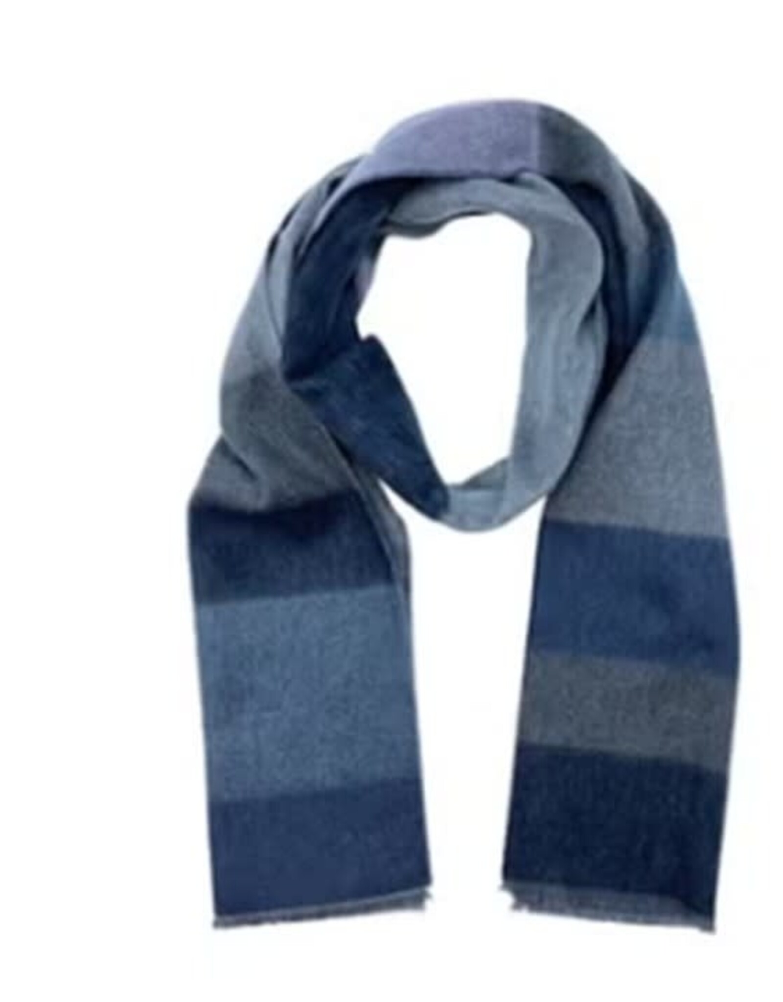Fraas Foulard #703018  H.  Bleu marine