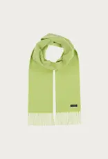 Fraas Foulard cashmink uni - Vert pâle