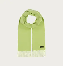 Fraas Foulard cashmink uni - Vert pâle