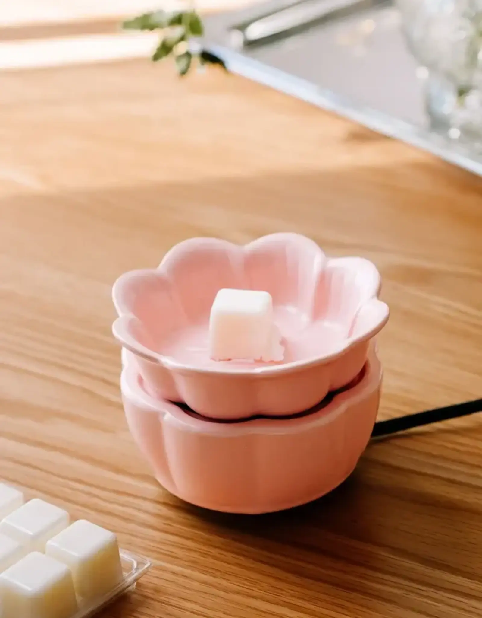 Marée Chandelles Diffuseur à pastille - Pétale Rose