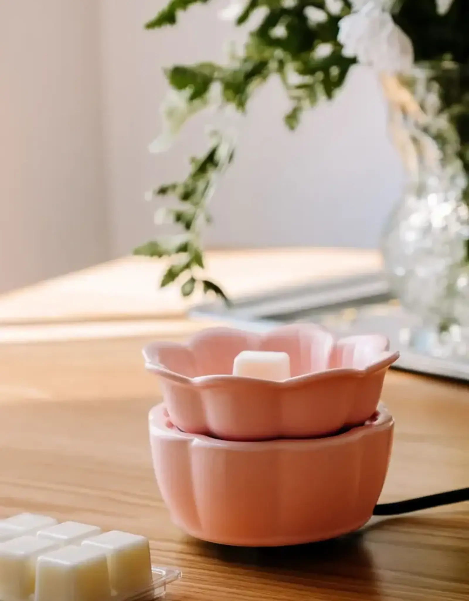 Marée Chandelles Diffuseur à pastille - Pétale Rose