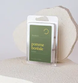 Feu & Co Cube de cire - Pomme Boréale