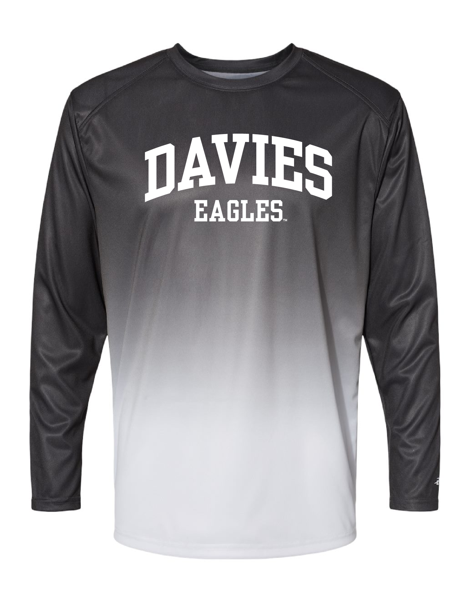 Eagles Ombre Long Sleeve - Bee Seen Gear