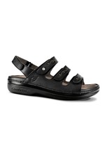 Cambrian Women's Cambrian Delphi 3
