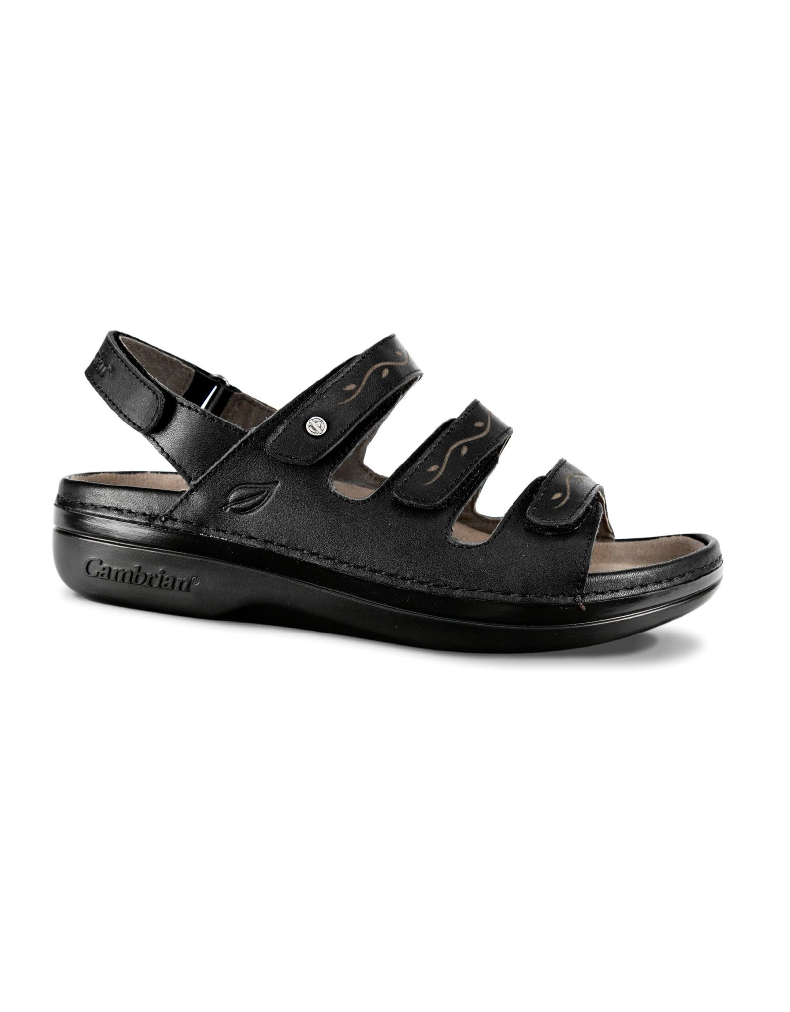 Cambrian Women's Cambrian Delphi 3