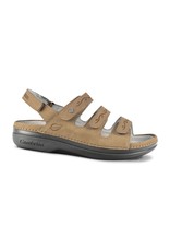 Cambrian Women's Cambrian Delphi 3