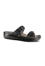 Cambrian Women's Cambrian Agean 2