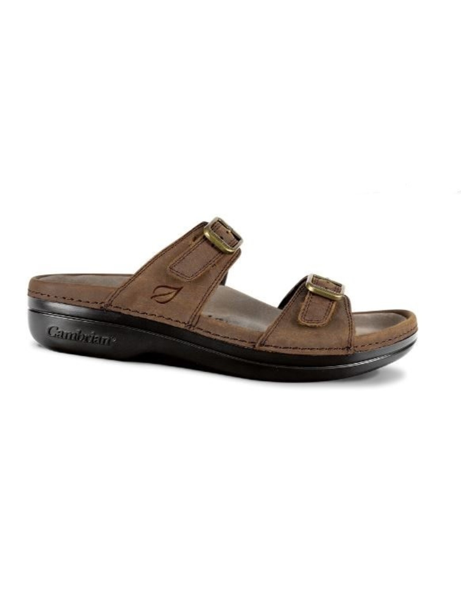 Cambrian Women's Cambrian Agean 3