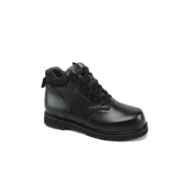 Mt. Emey Men's Mt. Emey APIS   9951 6"Boot