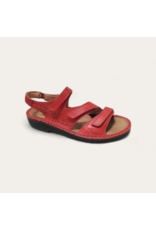 Naot Women's Naot Birgit