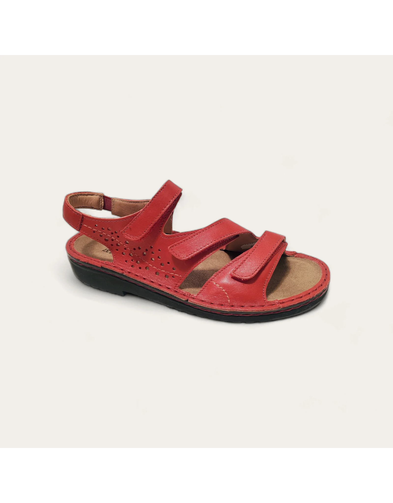 Naot Women's Naot Birgit