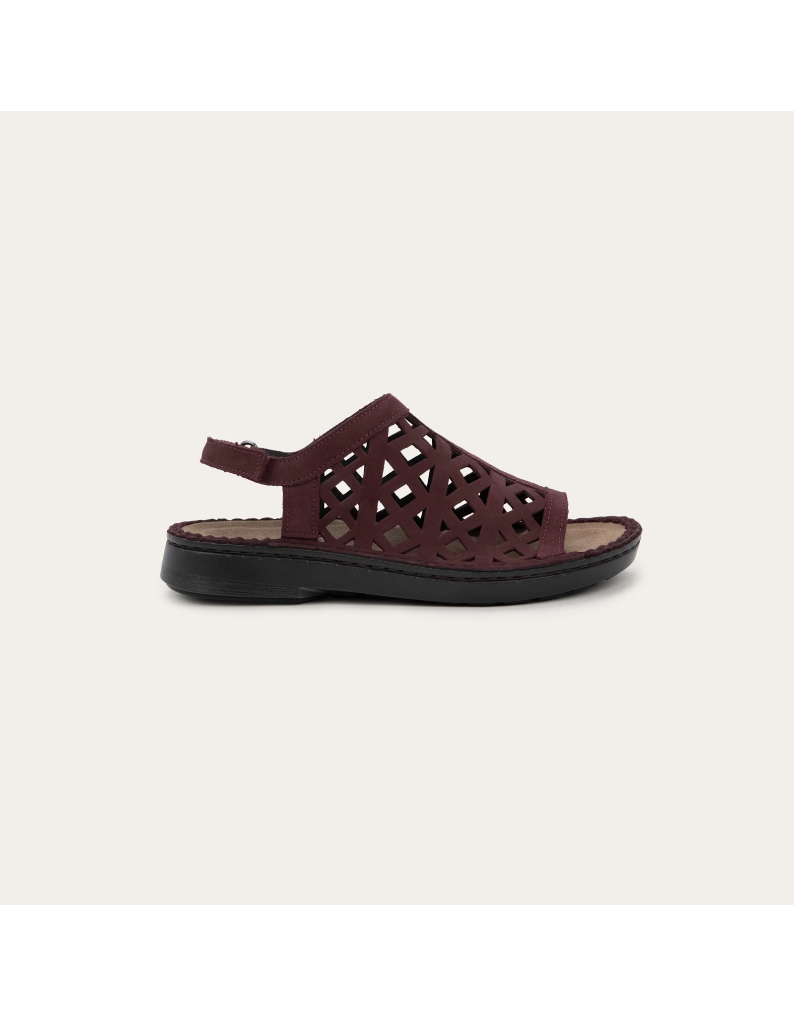 Naot Women's Naot Amadora