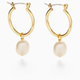 Amano Pearl Hoop Earrings
