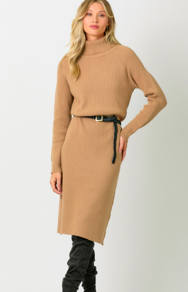 Mystree Ribbed Turtleneck Sweater Dress