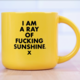 Meriwether A Ray of Sunshine Ceramic 16oz. Mug