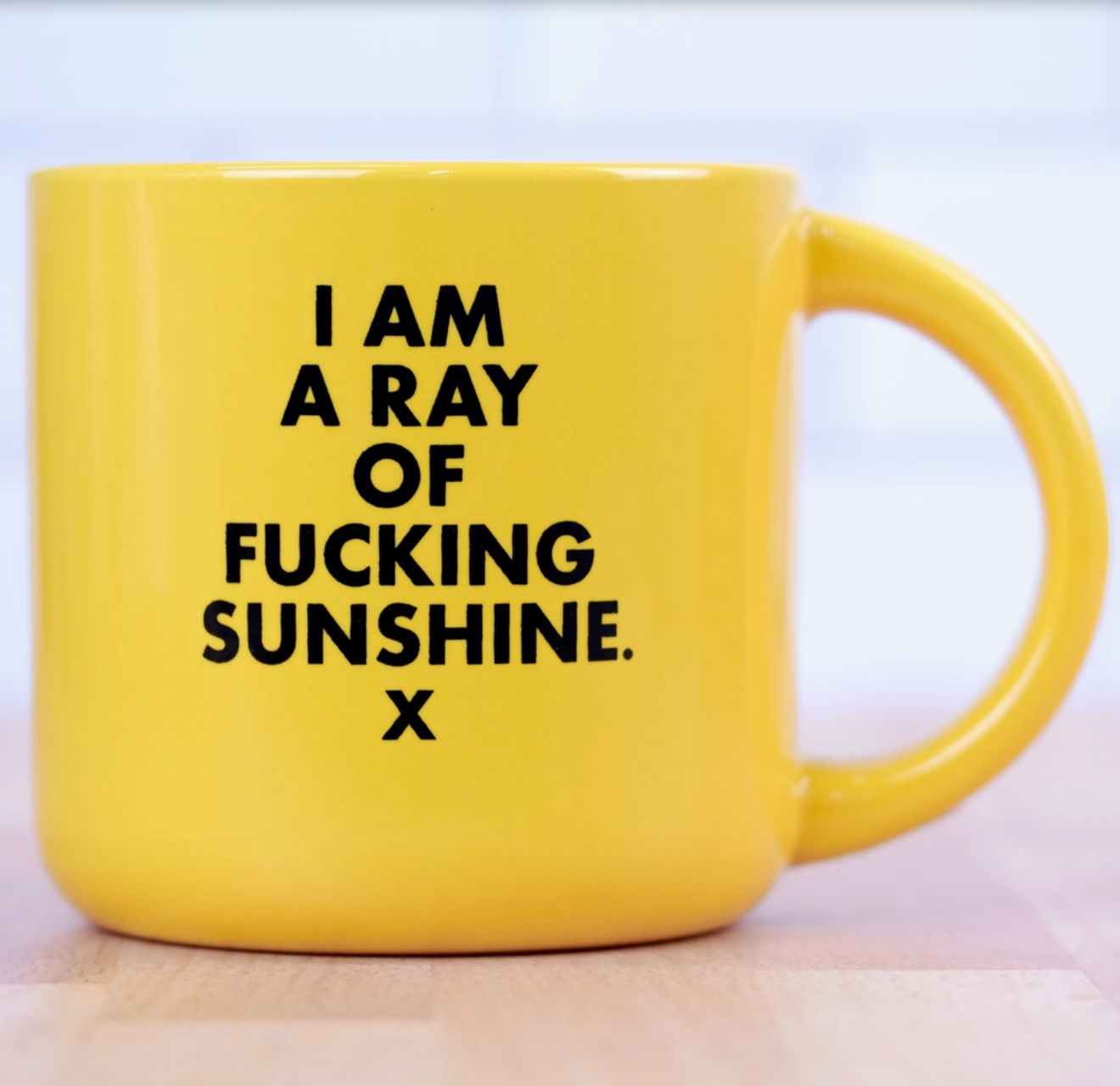 Meriwether A Ray of Sunshine Ceramic 16oz. Mug
