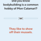 Chronicles Dad Jokes Strike Back