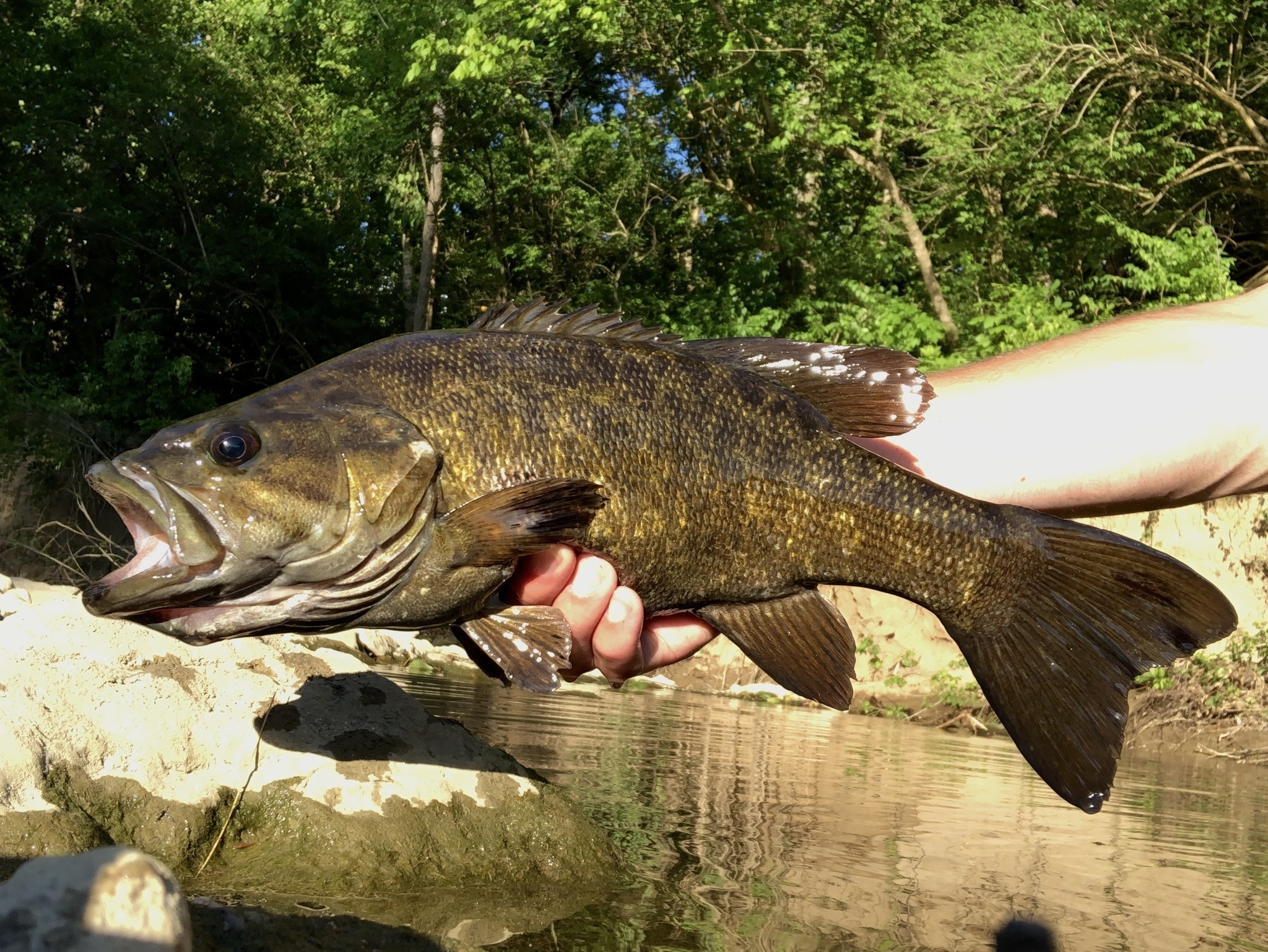 stop in for some local fishing knowledge