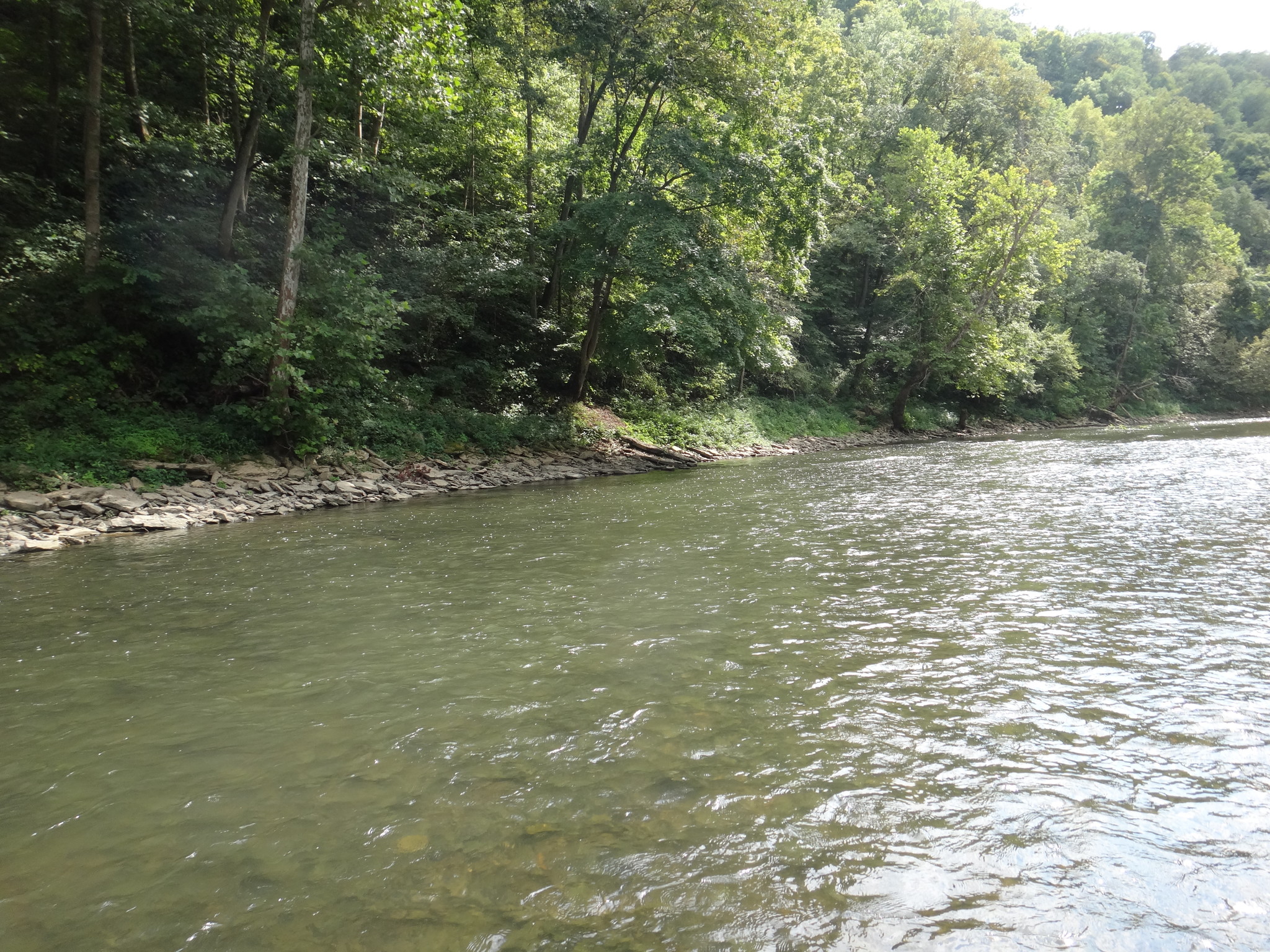 Can you see the slight color change in the stream?  Swing your streamers through the slightly cloudy looking water.